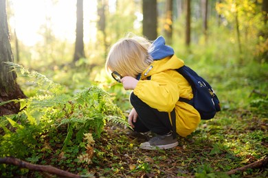 preschooler boy is exploring nature with magnifying glass. little child is looking on leaf of fern with magnifier. summer vacation for inquisitive kids in forest. hiking. boy-scout