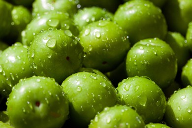 fresh and delicious plum fruit close up