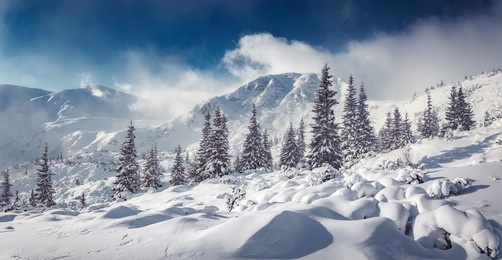 amazing atmospheric landscape. mountain winter scenery. creative panoramic banner. snow covered trees glowing under sunlit. creative image. christmas consept