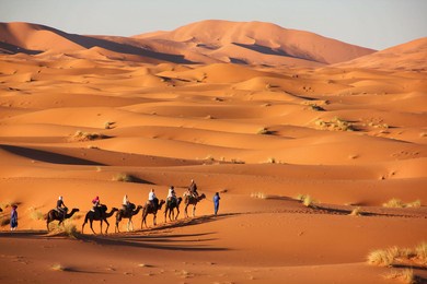 desert of merzouga in morocco with some camels