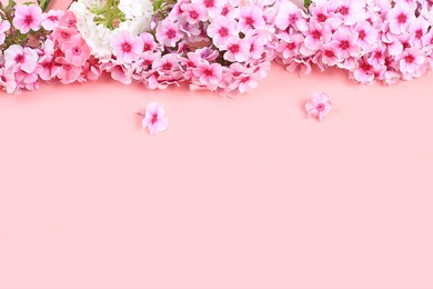 abstract flower arrangement, still life, spring banner, phlox frame with place for text on bright background. greeting card for mother's day, womens day, valentine's day, happy birthday, 