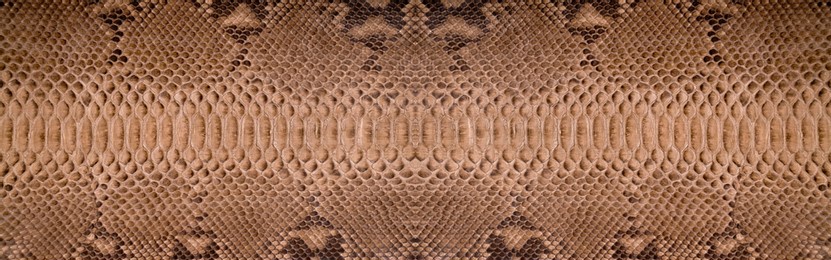 natural snake skin is used for luxury clothes and accessories, suitable for background