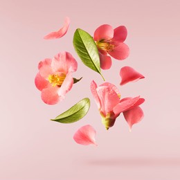 a beautiful image of sping pink flowers flying in the air on the pastel pink background. levitation conception. hugh resolution image