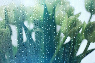 spring flowers snowdrops rain, background beautiful fresh wild flowers, water drops