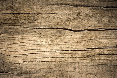 wood texture./ wood texture.
