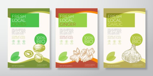 fresh local vegetables label templates set. vector packaging design layouts collection. typography banner with hand drawn olives, ginger root and garlic sketch silhouette background isolated.
