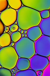 bright rainbow macro photo of water surface with bubbles. abstract pattern closeup asymmetric colorful oil drops in liquid. creative iridescent design of watery texture.