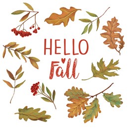 autumn dry leaves watercolor color pencil scientific illustration set. hand drawn yellow and red fallen leaves collection. seasonal fall tree foliage.
