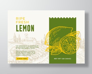 ripe fresh lemon food label template. abstract vector packaging design layout. modern typography banner with hand drawn citrus fruit and rural landscape background. isolated.