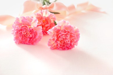 beautiful carnation flowers 
with on white background.
valentine or mothers day concept.