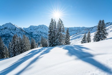 scenic winter wonderland in the allgäu 