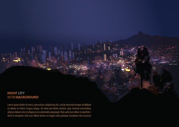 vector night city background