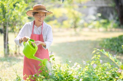 asian senior woman gardening for hobbies. sustainable lifestyle and happy old people concept
