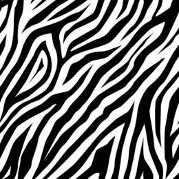 zebra pattern as a background, vector illustration
