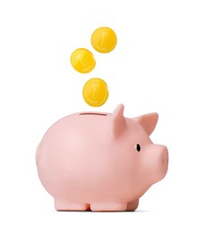 
cute dollar piggy bank with coin isolated on white background