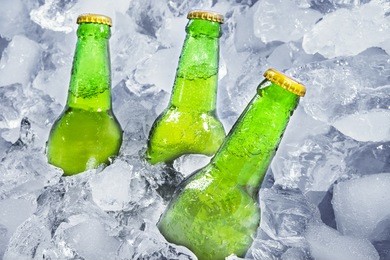 three beer bottles getting cool in ice cubes.