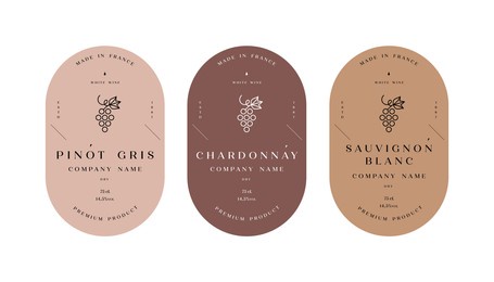 vector set illustartion design labels for wine. minimalistic and modern design