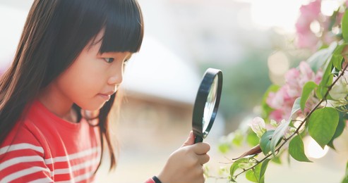 asian girl hold magnifer and observe leaf carefully
