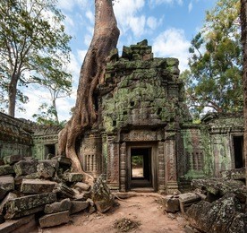 angkor wat cambodia. ta prohm khmer ancient buddhist temple in jungle forest. famous landmark, place of worship and popular tourist travel destination in asia. 