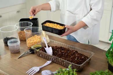 close-up of the hands of a city farmer who sows pea seeds in a black tray in the kitchen. microgreens, sprouts.