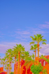 fashion tropical location. hotel. palm. blue sky. canary islands. travel advertising concept