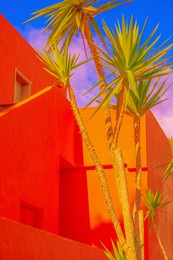 fashion tropical location. bright hotel. palm. blue sky. canary islands. travel advertising concept