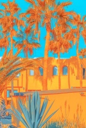 fashion tropical minimal location. yellow hotel, palm. summer blue sky. canary islands. travel aesthetics wallpaper