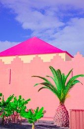 fashion tropical location. pink wall. palm. blue summer sky. canary islands. travel advertising banner wallpaper