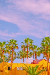 fashion tropical minimal location. yellow hotel, palm. summer blue sky. canary islands. travel aesthetics wallpaper
