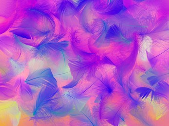 colorful feather. bright abstract background made of bird plumage. close-up of a neon-colored feather. soft focus