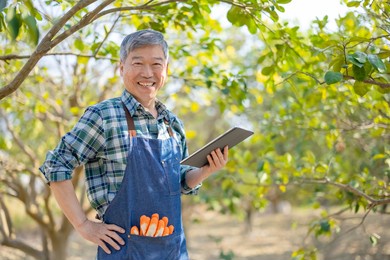 agriculture concept - asian senior farmer man is smiling at you and holding tablet to design plan in orchard