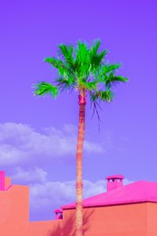 fashion tropical location. orange house, palm. blue summer sky. canary islands. travel advertising banner wallpaper