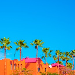 fashion tropical location. palm, blue summer sky. canary islands. travel advertising banner wallpaper