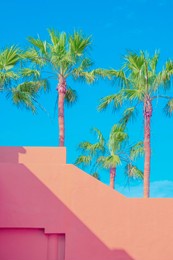 fashion tropical location. palm and shadows. orange house. canary islands. travel advertising banner wallpaper