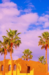 fashion tropical minimal location. yellow hotel, palm. summer blue sky. canary islands. travel aesthetics wallpaper