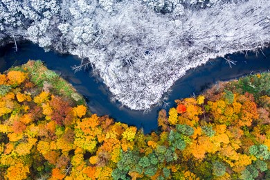 winter is coming. snowy and colorful forest. winter and autumn in one place. aerial view of nature in poland
