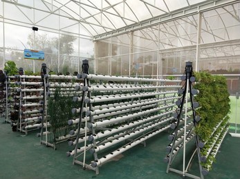 hydroponic cultivation which greatly facilitates modern farmers