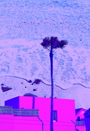 fashion tropical collage art. palm and ocean background. travel concept