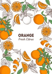 orange hand drawn frame. vector illustration. orange sketch for package design, brochure illustration. black and white design. citrus orange frame illustration. can used for packaging design.