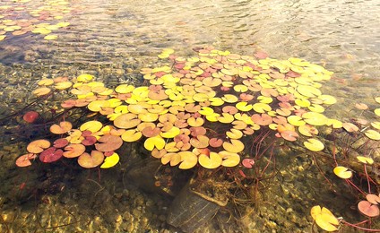 sabir ayshan的作品 站酷海洛 正版图片,视频,字体,音乐素材交易平台 站酷旗下品牌