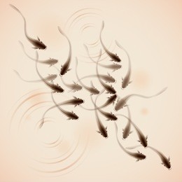 a school of fish swimming together, vectorized brush painting, symbolize harmony.