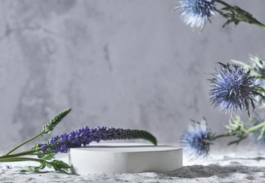 background for cosmetic products scene with blue flowers. concrete round white podium. empty showcase for packaging product presentation. mock up pedestal