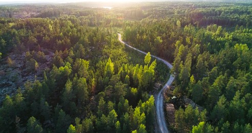 aerial over a winding forest road in finland, during sunset - , drone shot