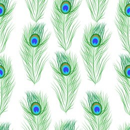 vector seamless pattern peacock feathers on white background