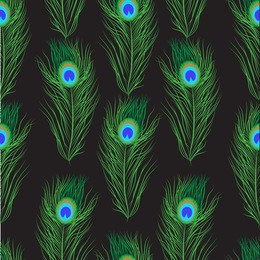 vector seamless pattern peacock feathers on black background