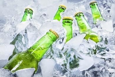 closeup of green beer bottles getting cool in ice cubes.