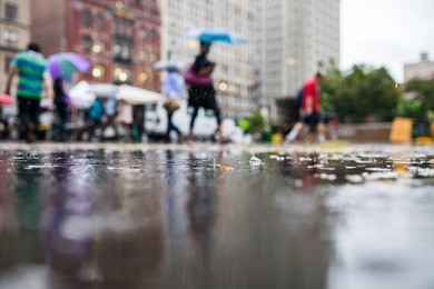 rainy day in the city with people holding umbrellas in the background