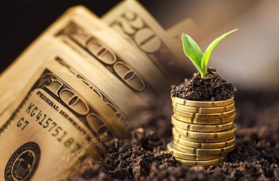 us dollars and euro coins growth. small depth of field.