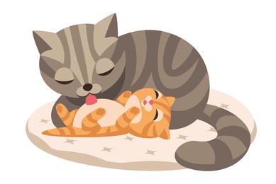 striped mom cat licks with your tongue her baby's tummy, kitten is happy