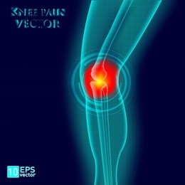 knee or leg x-ray screen with red circle pain vector